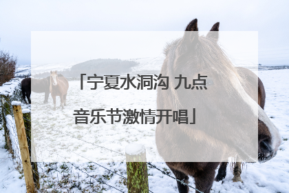 宁夏水洞沟 九点音乐节激情开唱